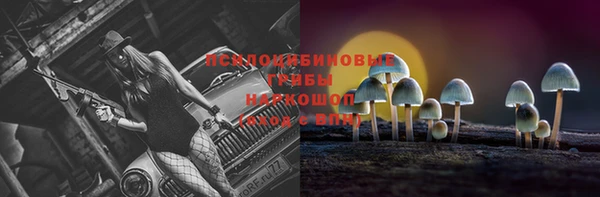стаф Арсеньев