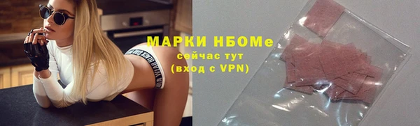 стаф Арсеньев