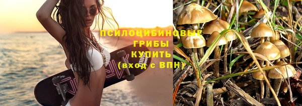 мяу мяу мука Армянск
