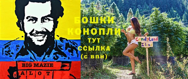 стаф Арсеньев