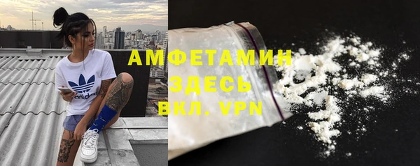 стаф Арсеньев
