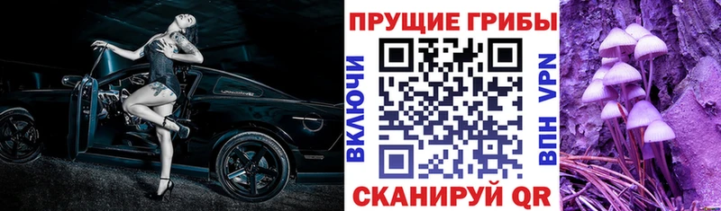 Галлюциногенные грибы прущие грибы  Сосновый Бор 