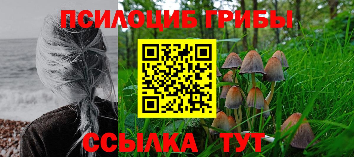 Псилоцибиновые грибы GOLDEN TEACHER  Вход с VPN  Сосновый Бор 