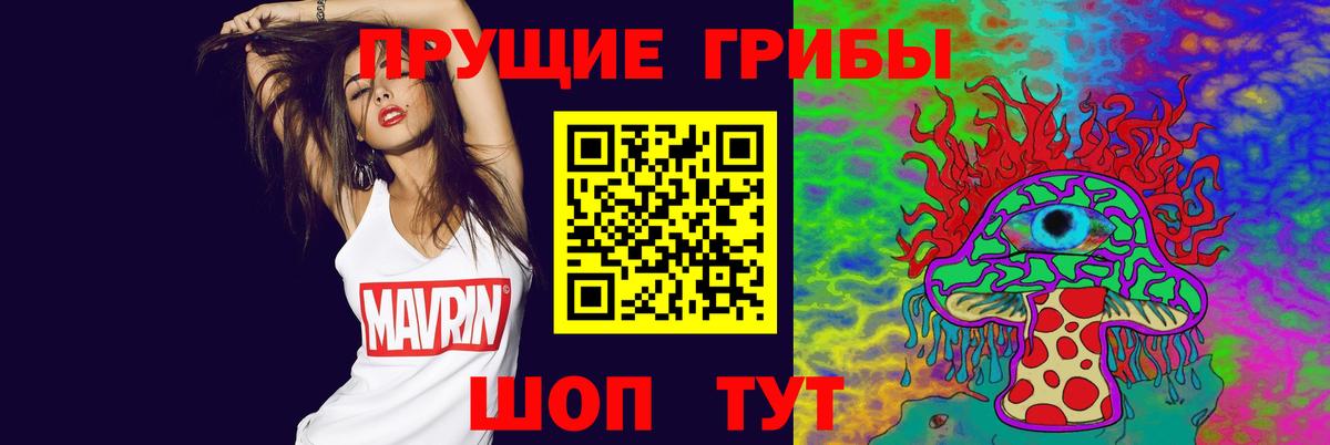Псилоцибиновые грибы мицелий Сосновый Бор